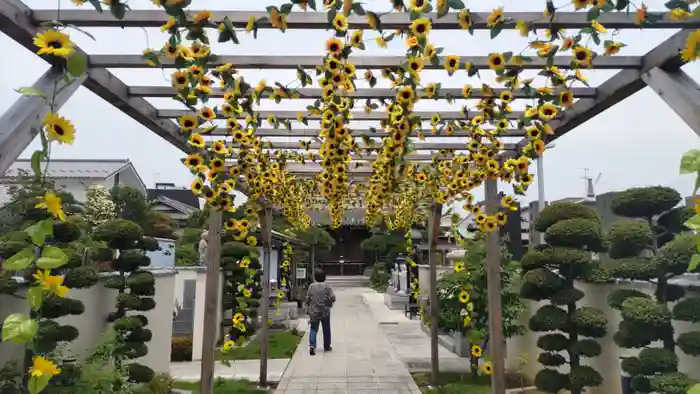 城立寺の建物その他