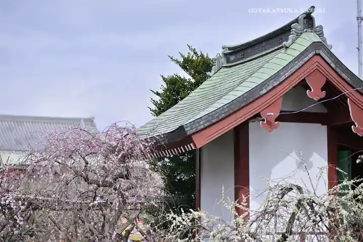 亀戸天神社(東京都)