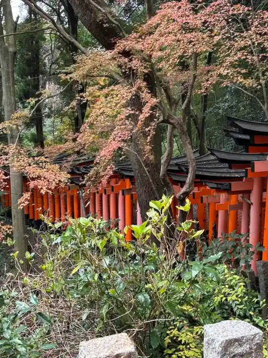 伏見稲荷大社(京都府)