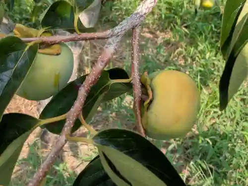智勝院(岐阜県)