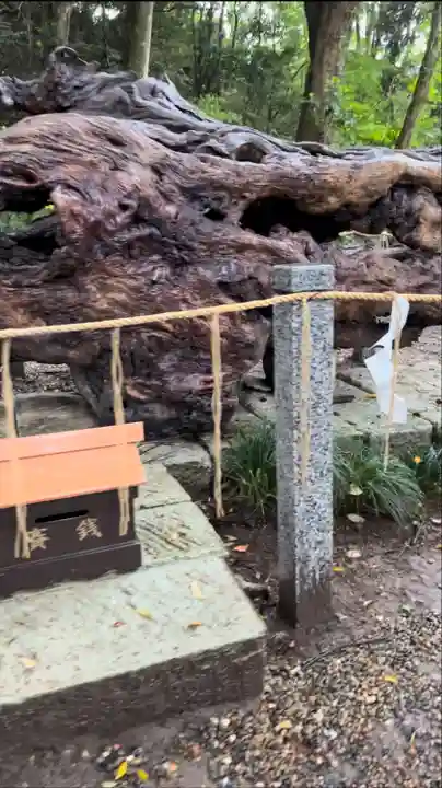 泉神社(茨城県)