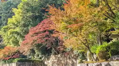 苗秀寺(京都府)