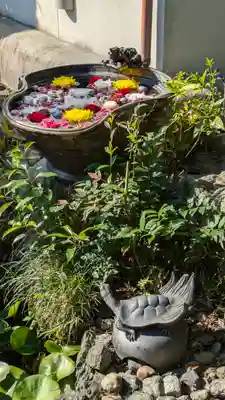 清凉院(京都府)