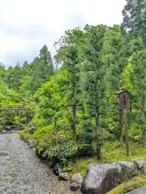 白山比咩神社の{uncategorized: "未分類", other: "その他", undefined: "問題あり", building: "その他建物", grave: "お墓", sacred_gate: "鳥居", guardian: "狛犬", statue: "像", buddha: "仏像", history: "歴史", nature: "自然", garden: "庭園", animal: "動物", pagoda: "塔", temizu: "手水舎", mountain_gate: "山門・神門", sanctuary: "本殿・本堂", subordinate: "末社・摂社", art: "芸術", scenery: "景色", jizo: "地蔵", ema: "絵馬", goshuin: "御朱印", omikuji: "おみくじ", items: "授与品その他", amulet: "お守り", goshuincho: "御朱印帳", eats: "食事", festival: "お祭り", votive_dance: "神楽", shichigosan: "七五三参", wedding: "結婚式", experience: "体験その他", initially: "初詣", around: "周辺", anti_infection: "感染症対策"}