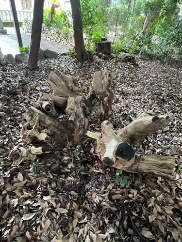 手力雄神社(岐阜県)