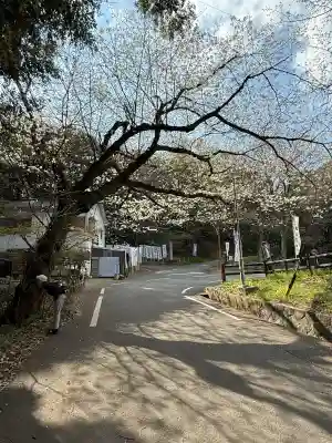 久麻久神社の{uncategorized: "未分類", other: "その他", undefined: "問題あり", building: "その他建物", grave: "お墓", sacred_gate: "鳥居", guardian: "狛犬", statue: "像", buddha: "仏像", history: "歴史", nature: "自然", garden: "庭園", animal: "動物", pagoda: "塔", temizu: "手水舎", mountain_gate: "山門・神門", sanctuary: "本殿・本堂", subordinate: "末社・摂社", art: "芸術", scenery: "景色", jizo: "地蔵", ema: "絵馬", goshuin: "御朱印", omikuji: "おみくじ", items: "授与品その他", amulet: "お守り", goshuincho: "御朱印帳", eats: "食事", festival: "お祭り", votive_dance: "神楽", shichigosan: "七五三参", wedding: "結婚式", experience: "体験その他", initially: "初詣", around: "周辺", anti_infection: "感染症対策"}