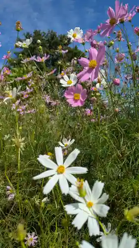 西願寺（廃寺）(京都府)