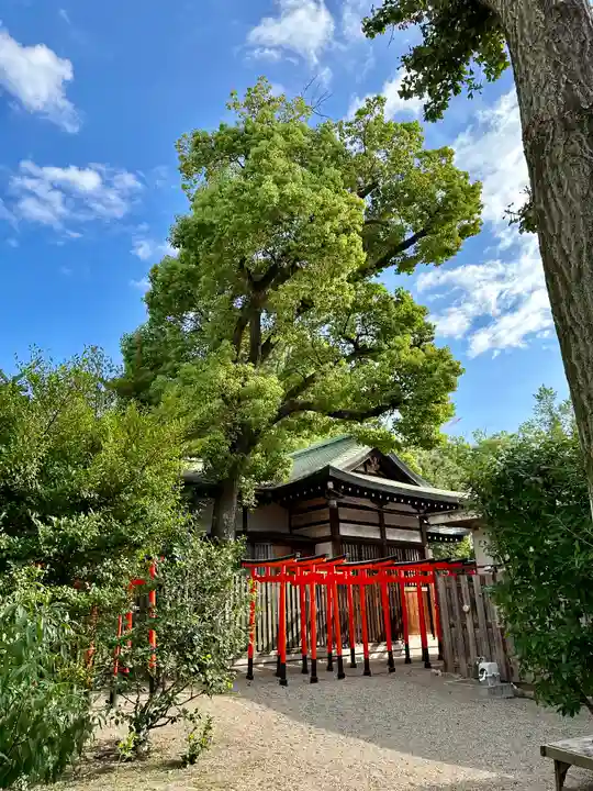 堀越神社(大阪府)