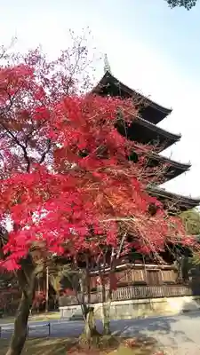 仁和寺のその他建物