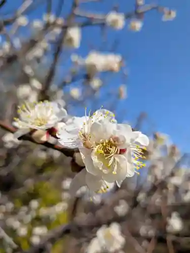 福蔵院(東京都)
