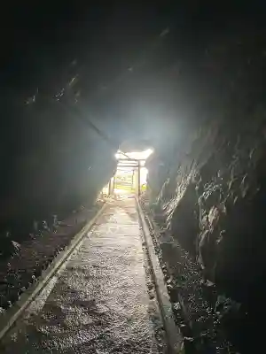 御厨人窟・神明窟(高知県)