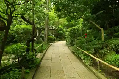 報国寺(神奈川県)