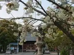 日吉神社の自然