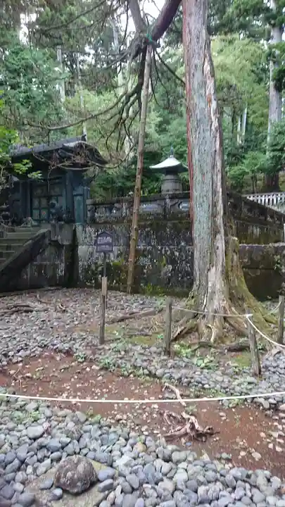 日光東照宮(栃木県)
