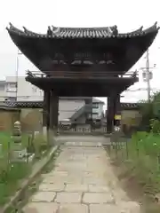 般若寺 ❁﻿コスモス寺❁の山門