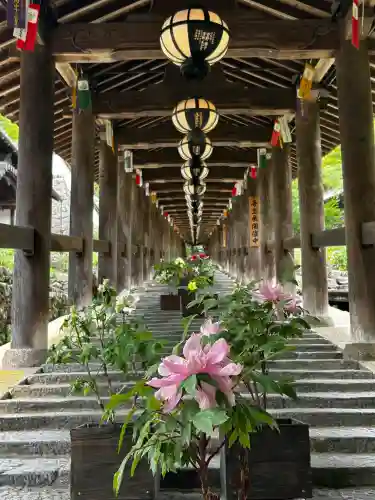 長谷寺の{uncategorized: "未分類", other: "その他", undefined: "問題あり", building: "その他建物", grave: "お墓", sacred_gate: "鳥居", guardian: "狛犬", statue: "像", buddha: "仏像", history: "歴史", nature: "自然", garden: "庭園", animal: "動物", pagoda: "塔", temizu: "手水舎", mountain_gate: "山門・神門", sanctuary: "本殿・本堂", subordinate: "末社・摂社", art: "芸術", scenery: "景色", jizo: "地蔵", ema: "絵馬", goshuin: "御朱印", omikuji: "おみくじ", items: "授与品その他", amulet: "お守り", goshuincho: "御朱印帳", eats: "食事", festival: "お祭り", votive_dance: "神楽", shichigosan: "七五三参", wedding: "結婚式", experience: "体験その他", initially: "初詣", around: "周辺", anti_infection: "感染症対策"}