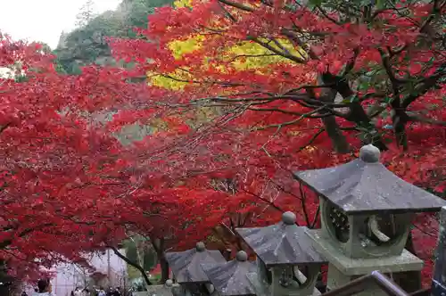 大山寺(神奈川県)