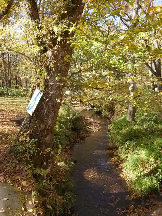 戸隠神社奥社(長野県)