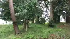 酒門神社の自然