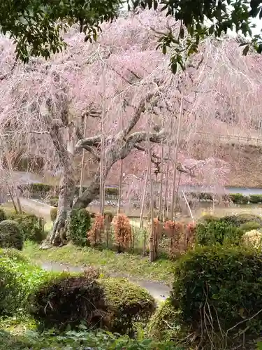 栄存神社(宮城県)