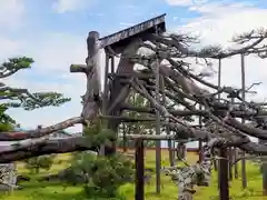 唐崎神社の自然