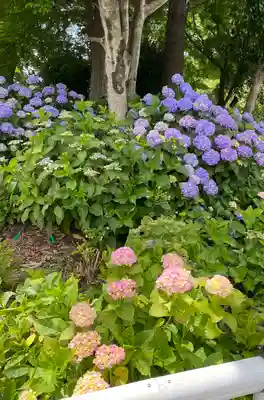 性海寺(愛知県)