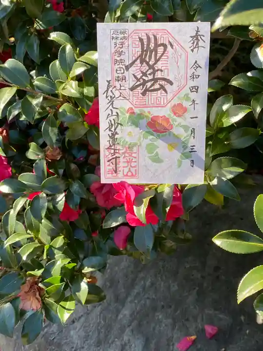 妙蓮寺の御朱印