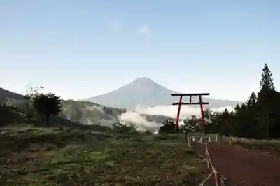 河口浅間神社の自然