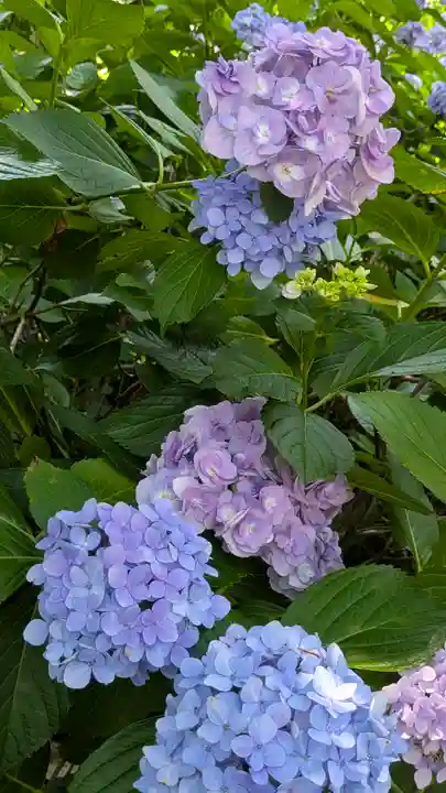 本法寺(京都府)