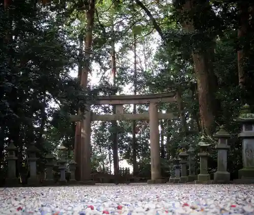 御上神社の鳥居