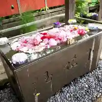 前玉神社の手水舎