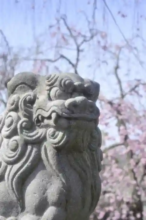 三嶋大社(静岡県)