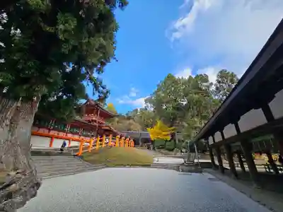 春日大社(奈良県)