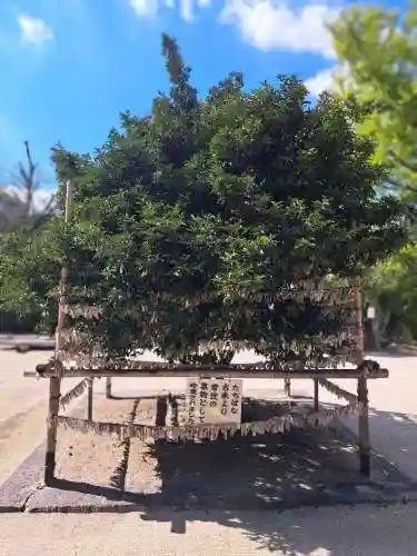 廣瀬大社(奈良県)