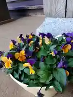 伏木香取神社(茨城県)