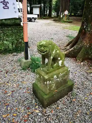 間々田八幡宮の狛犬