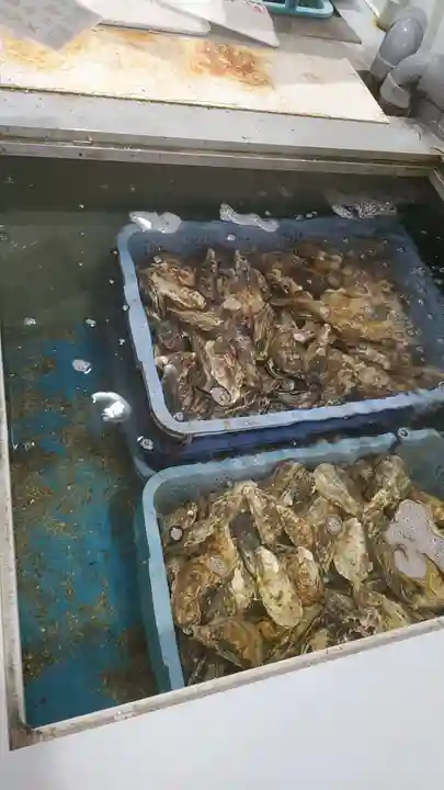 伊和都比売神社(兵庫県)