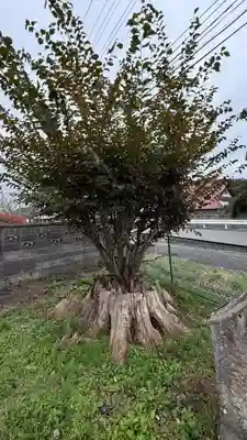 御嶽神社(宮城県)