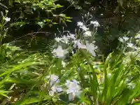 施福寺の{uncategorized: "未分類", other: "その他", undefined: "問題あり", building: "その他建物", grave: "お墓", sacred_gate: "鳥居", guardian: "狛犬", statue: "像", buddha: "仏像", history: "歴史", nature: "自然", garden: "庭園", animal: "動物", pagoda: "塔", temizu: "手水舎", mountain_gate: "山門・神門", sanctuary: "本殿・本堂", subordinate: "末社・摂社", art: "芸術", scenery: "景色", jizo: "地蔵", ema: "絵馬", goshuin: "御朱印", omikuji: "おみくじ", items: "授与品その他", amulet: "お守り", goshuincho: "御朱印帳", eats: "食事", festival: "お祭り", votive_dance: "神楽", shichigosan: "七五三参", wedding: "結婚式", experience: "体験その他", initially: "初詣", around: "周辺", anti_infection: "感染症対策"}