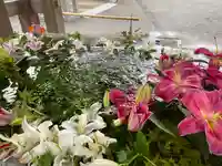 宮地嶽神社の手水舎