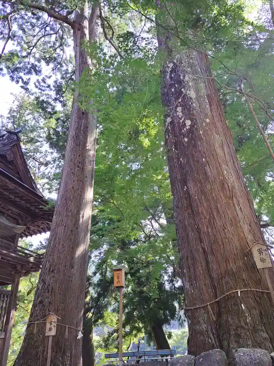洲原神社(岐阜県)