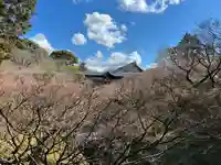 東福禅寺(東福寺)の景色