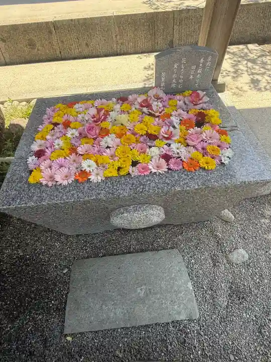 荘内神社の{uncategorized: "未分類", other: "その他", undefined: "問題あり", building: "その他建物", grave: "お墓", sacred_gate: "鳥居", guardian: "狛犬", statue: "像", buddha: "仏像", history: "歴史", nature: "自然", garden: "庭園", animal: "動物", pagoda: "塔", temizu: "手水舎", mountain_gate: "山門・神門", sanctuary: "本殿・本堂", subordinate: "末社・摂社", art: "芸術", scenery: "景色", jizo: "地蔵", ema: "絵馬", goshuin: "御朱印", omikuji: "おみくじ", items: "授与品その他", amulet: "お守り", goshuincho: "御朱印帳", eats: "食事", festival: "お祭り", votive_dance: "神楽", shichigosan: "七五三参", wedding: "結婚式", experience: "体験その他", initially: "初詣", around: "周辺", anti_infection: "感染症対策"}