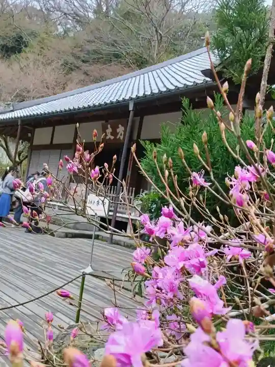 明月院(神奈川県)