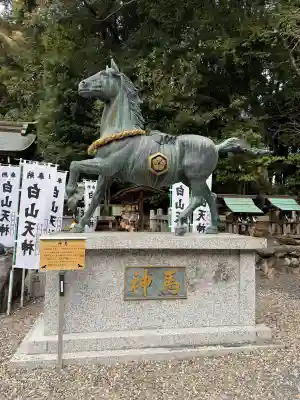 白山神社の{uncategorized: "未分類", other: "その他", undefined: "問題あり", building: "その他建物", grave: "お墓", sacred_gate: "鳥居", guardian: "狛犬", statue: "像", buddha: "仏像", history: "歴史", nature: "自然", garden: "庭園", animal: "動物", pagoda: "塔", temizu: "手水舎", mountain_gate: "山門・神門", sanctuary: "本殿・本堂", subordinate: "末社・摂社", art: "芸術", scenery: "景色", jizo: "地蔵", ema: "絵馬", goshuin: "御朱印", omikuji: "おみくじ", items: "授与品その他", amulet: "お守り", goshuincho: "御朱印帳", eats: "食事", festival: "お祭り", votive_dance: "神楽", shichigosan: "七五三参", wedding: "結婚式", experience: "体験その他", initially: "初詣", around: "周辺", anti_infection: "感染症対策"}