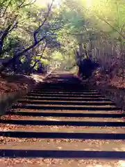 長浜神社の建物その他