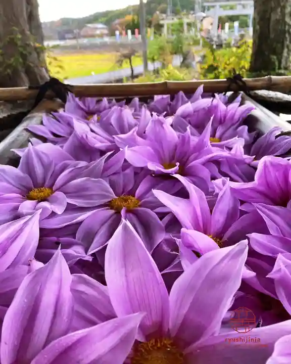 立志神社(滋賀県)