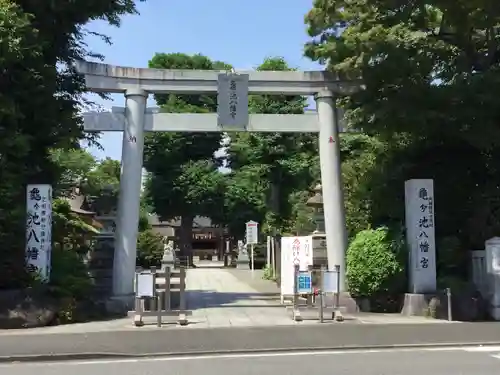 亀ケ池八幡宮の鳥居