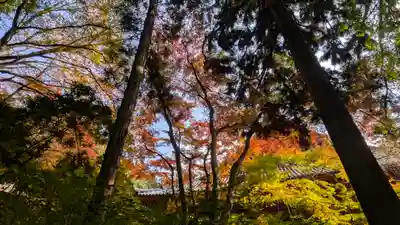 神護寺(京都府)