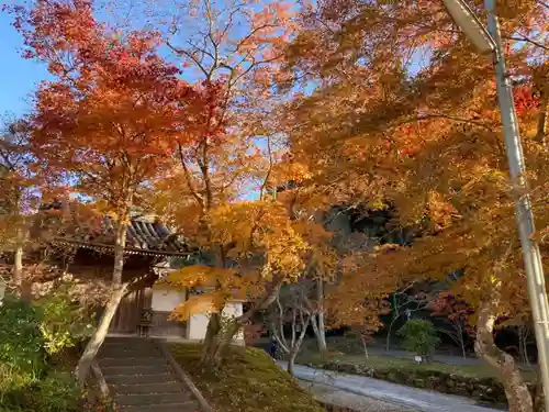 一乗寺(兵庫県)